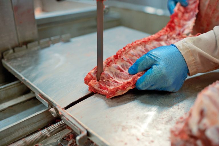 Munkfors Fresh-meat saw